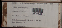 Image Associated With the Occurence